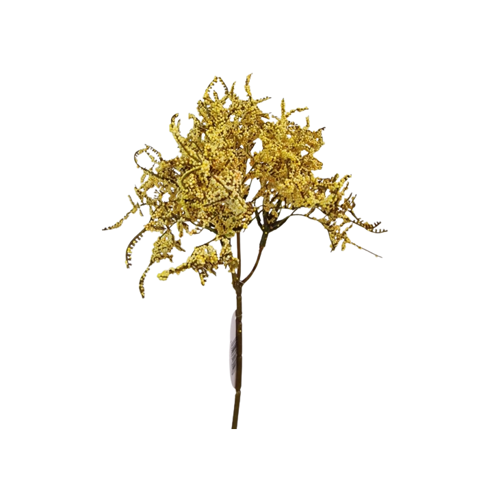 Limonium Bush Cream (45cm) Yellow