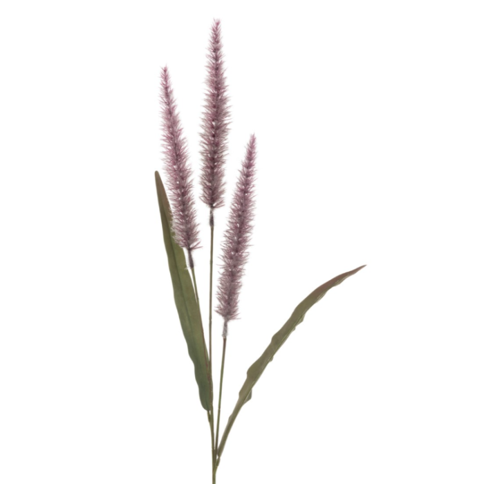 Antique Fountain Grass 94cm Purple