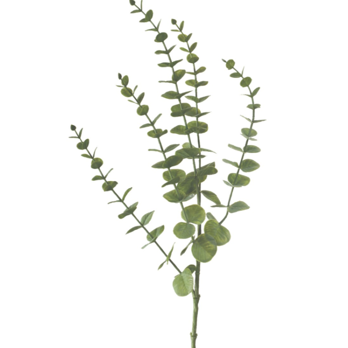 ECO Eucalyptus Spray 75cm