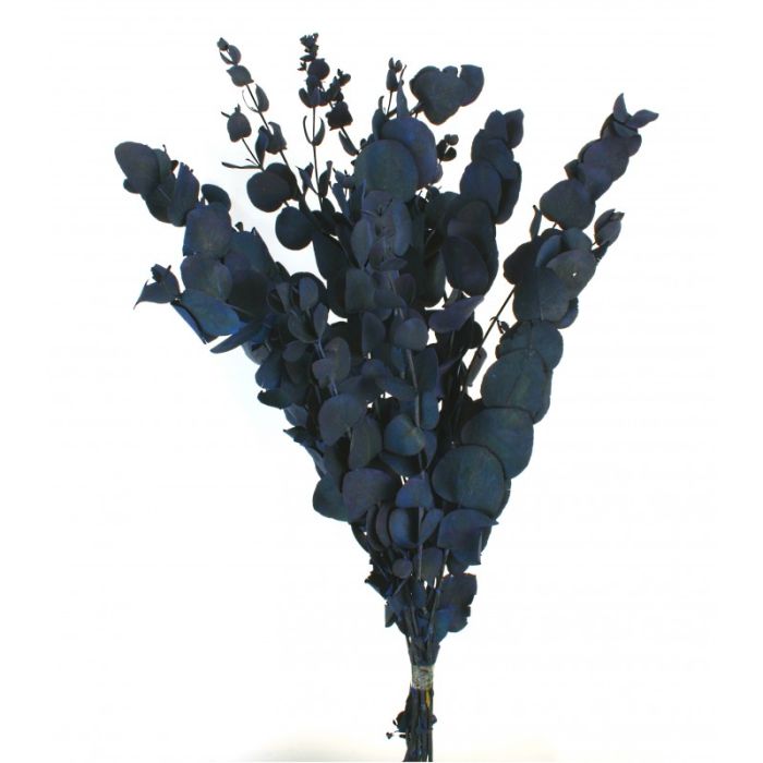 Preserved Vintage Spiral Eucalyptus - Vintage Blue