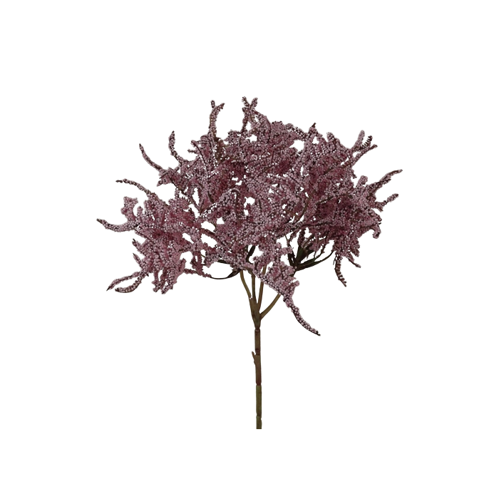 Limonium Bush (45cm) Pink