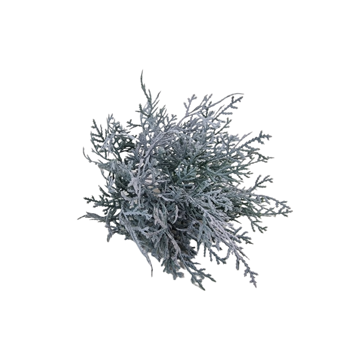 Cushion Bush - Grey (25cm Long)