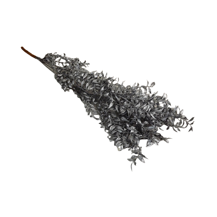 Ruscus x 5 Stems Silver