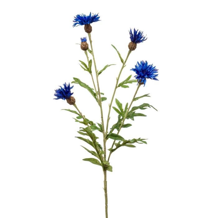 Centaurea Spray Blue 60cm