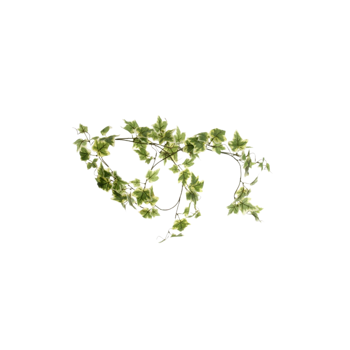 Ivy Garland Variegated 150cm
