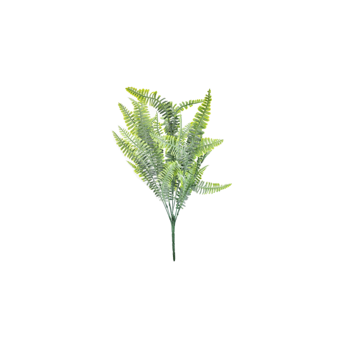 55cm Fern Leaf Foliage Bush