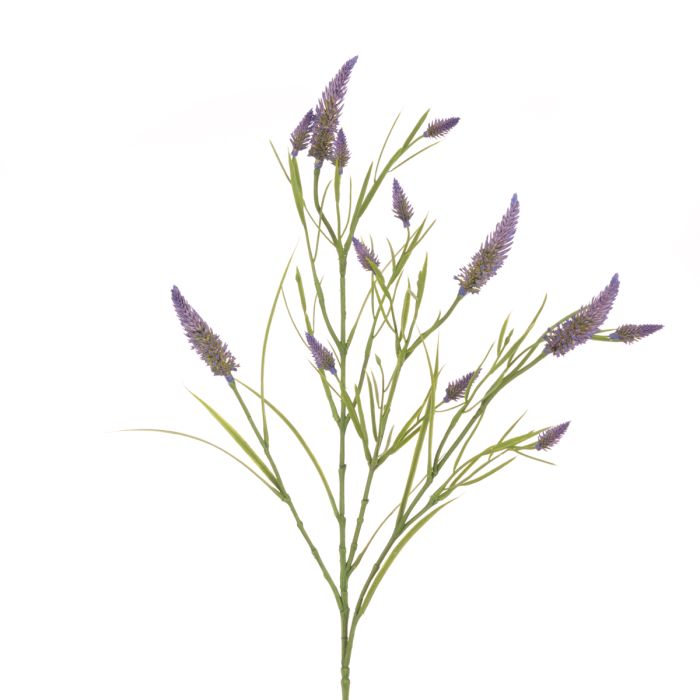 Narrowleaf Crimson Clover 79cm Lavender