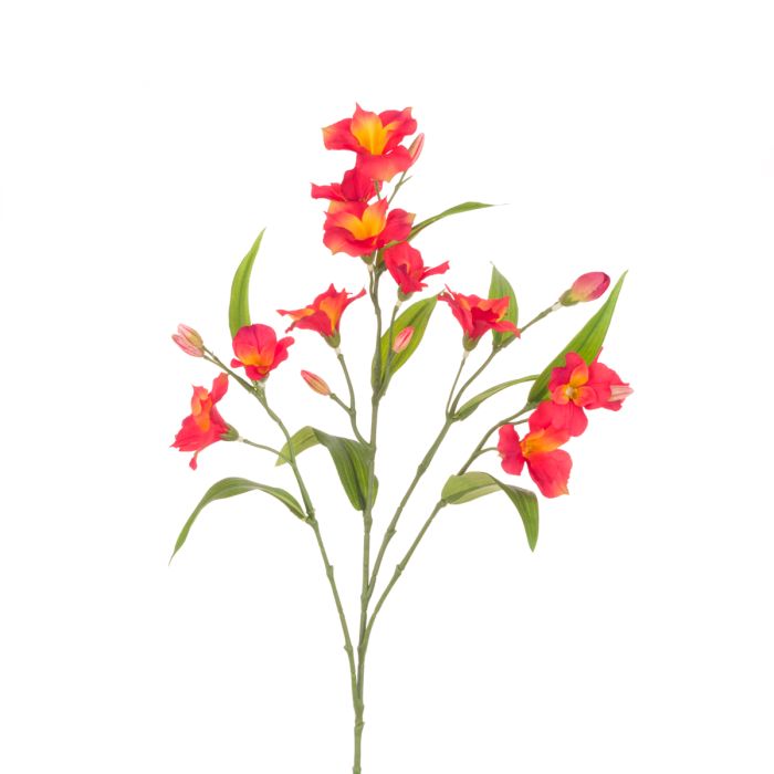 Alstroemeria Spray 63cm Flame