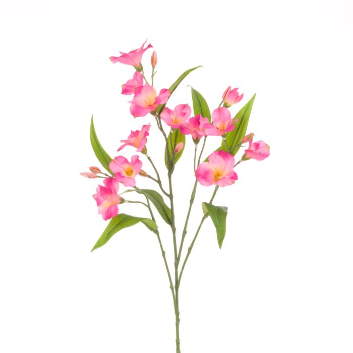 Alstroemeria Spray 63cm Pink