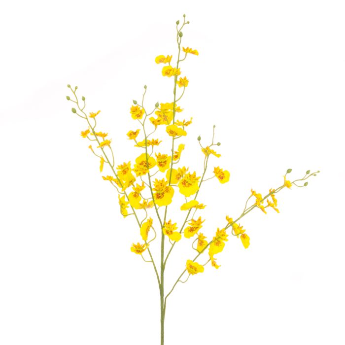 Dancing Orchid Spray 105cm Yellow