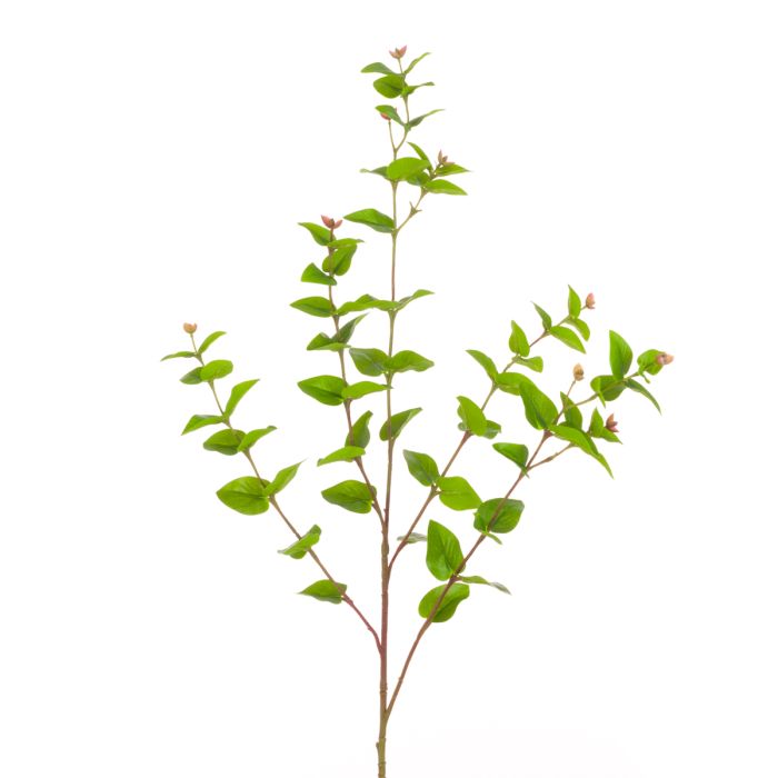 Hypericum Leaf Spray 83cm Green