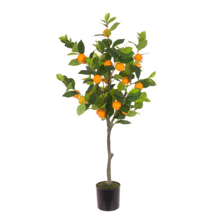 Orange Tree In Pot 94cm