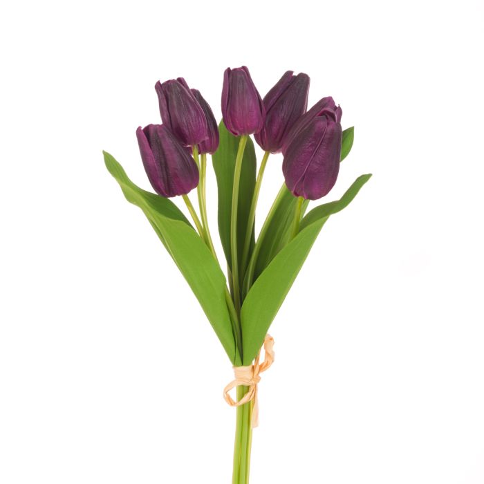 Fresh Touch PU Tulip Bundle x7 Aubergine
