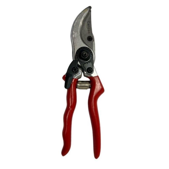 Secateurs 21cm (X80025)