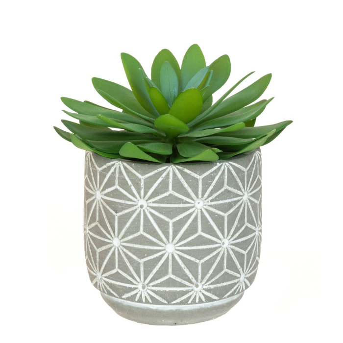 Cactus In Geometric Pot 14cm (P18091)