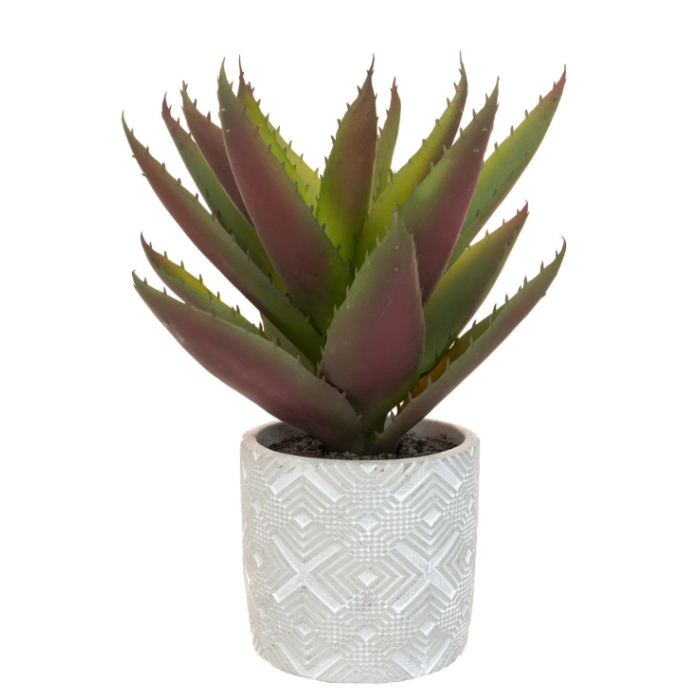Aloe In Geometric Pot 30cm