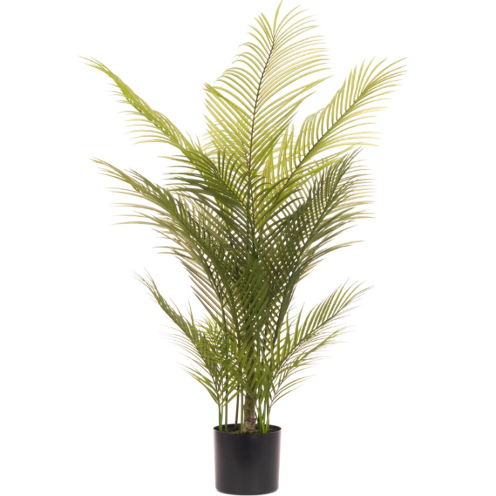 Palm Tree In Pot 127cm