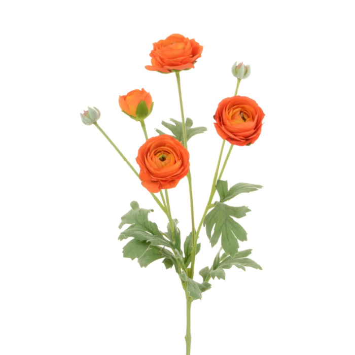 ECO Ranunculus Spray 67cm Orange