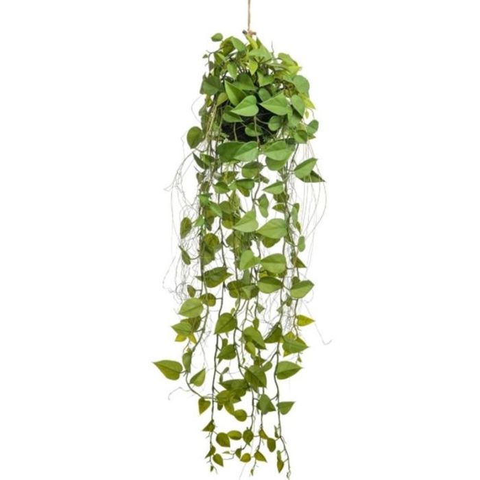 96cm Hanging Pothos Ball