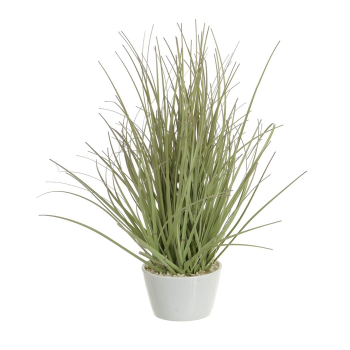 26cm Grass W/Ceramic Pot Green