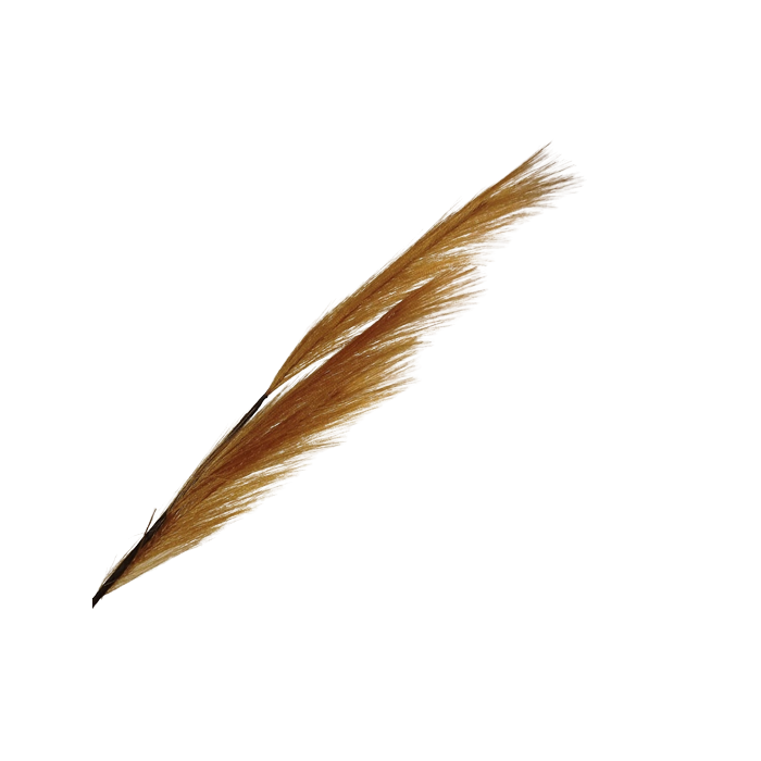 82cm Pampas Grass (Artificial) Spray Copper