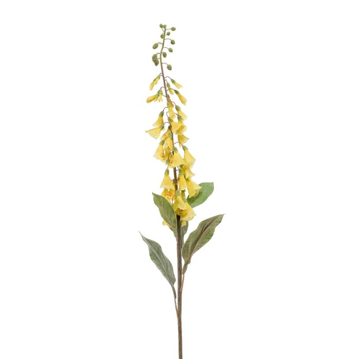 Digitalis Spray Yellow 120cm