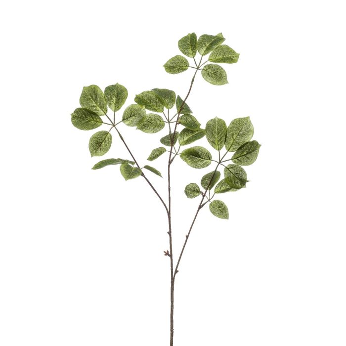 Baby Schefflera Spray Green 87cm