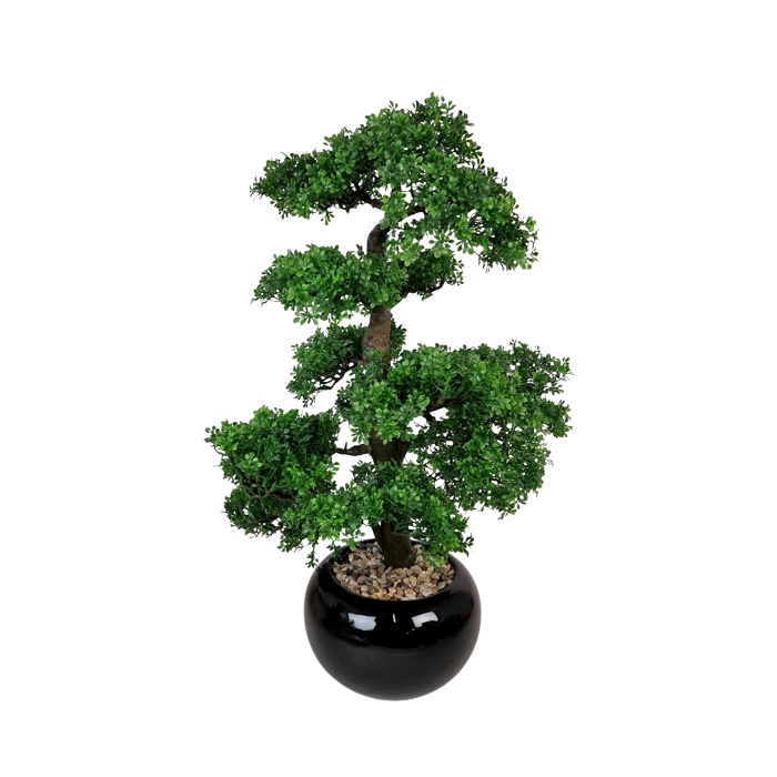 70cm Bonsai In Black Pot