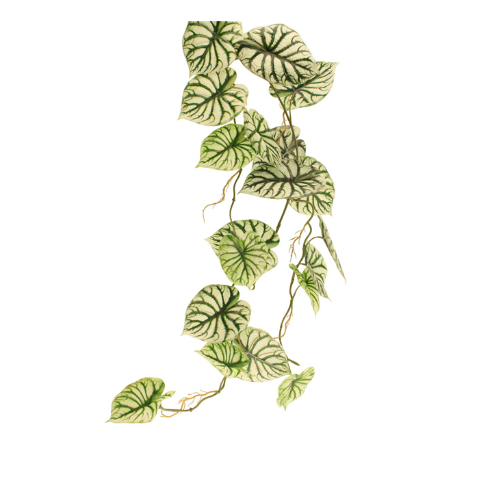 120cm Caladium Garland Green/White