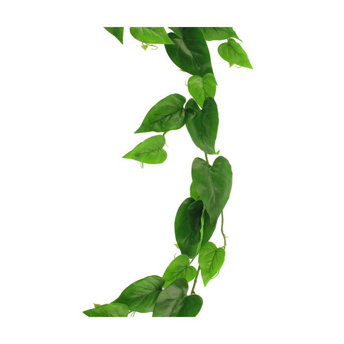 180cm Devil Ivy Garland Green