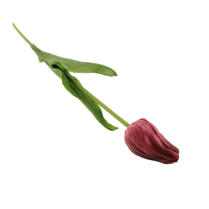 50cm Tulip Pink