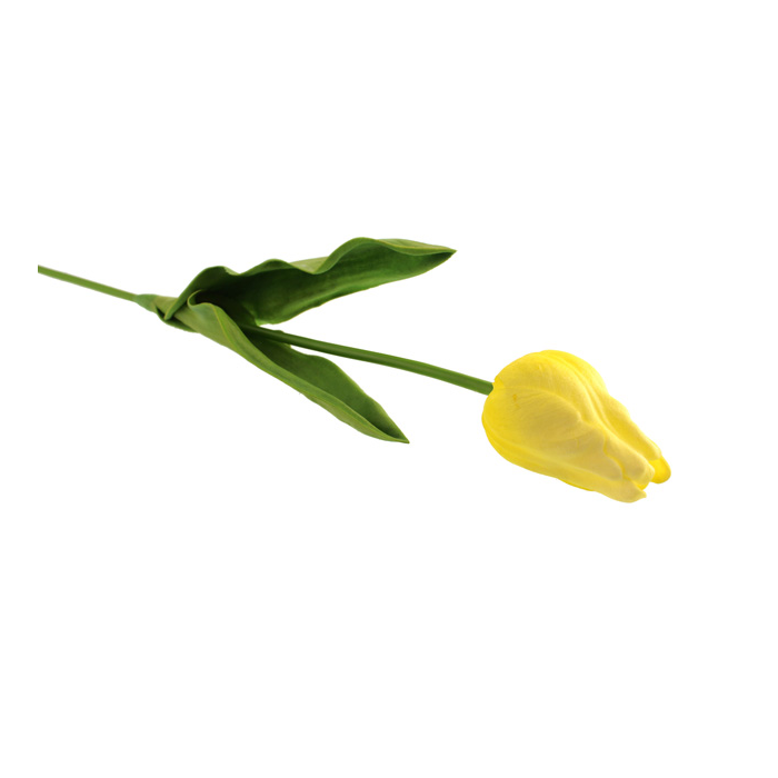 50cm Tulip Yellow
