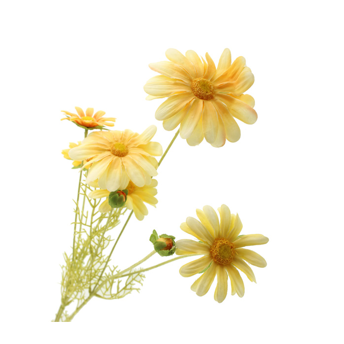 90cm Daisy Spray Pale Yellow