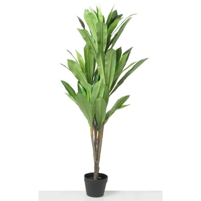 Real Touch Potted Dracaena Tree 135cm