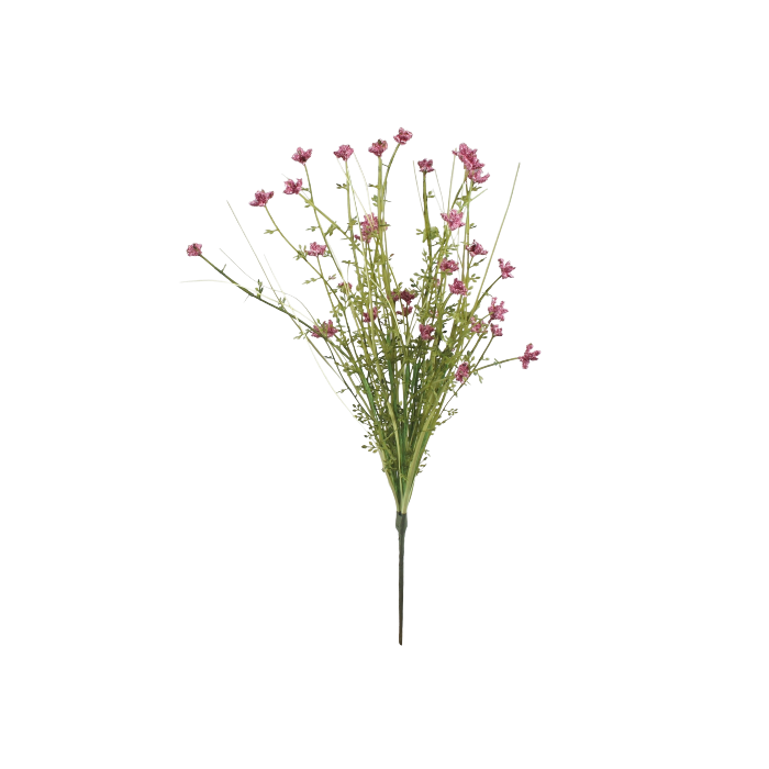 Meadow Werbena 48cm - Pink