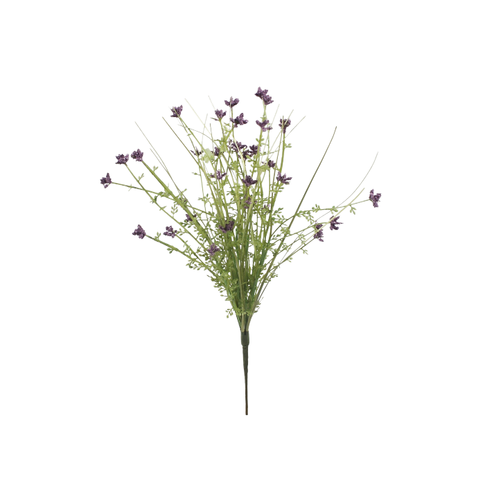 Meadow Werbena 48cm - Purple