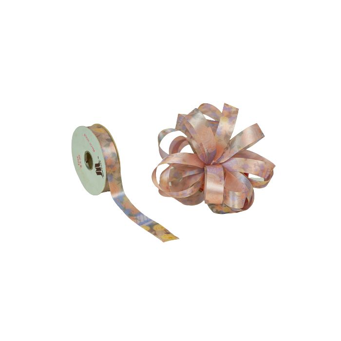 21mm x 50yds Vintage Summer Ribbon Shade 2