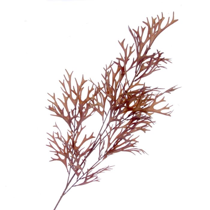 Staghorn Spray - Brown (105cm long)