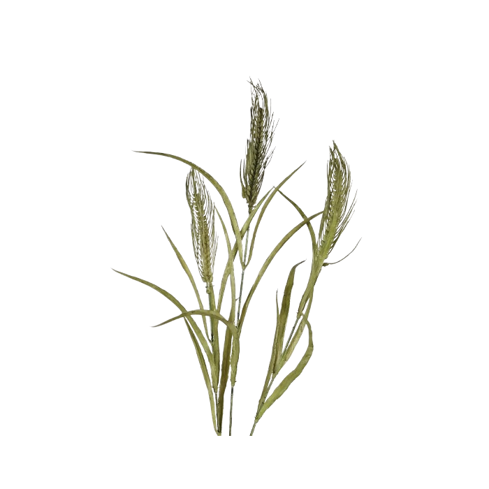 Artificial Wheat Spray - Green (78cm long, 3 heads)