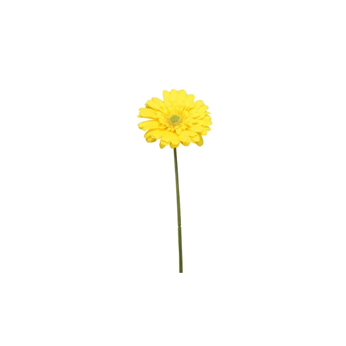 Single Gerbera 72cm Yellow