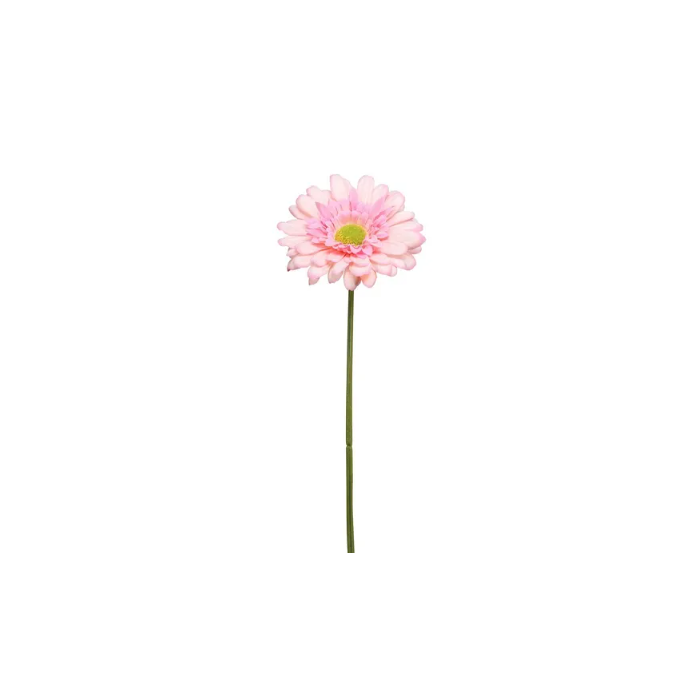 Single Gerbera 72cm Pink