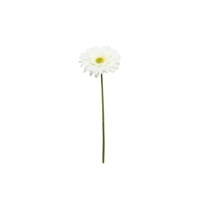 Single Gerbera 72cm Cream