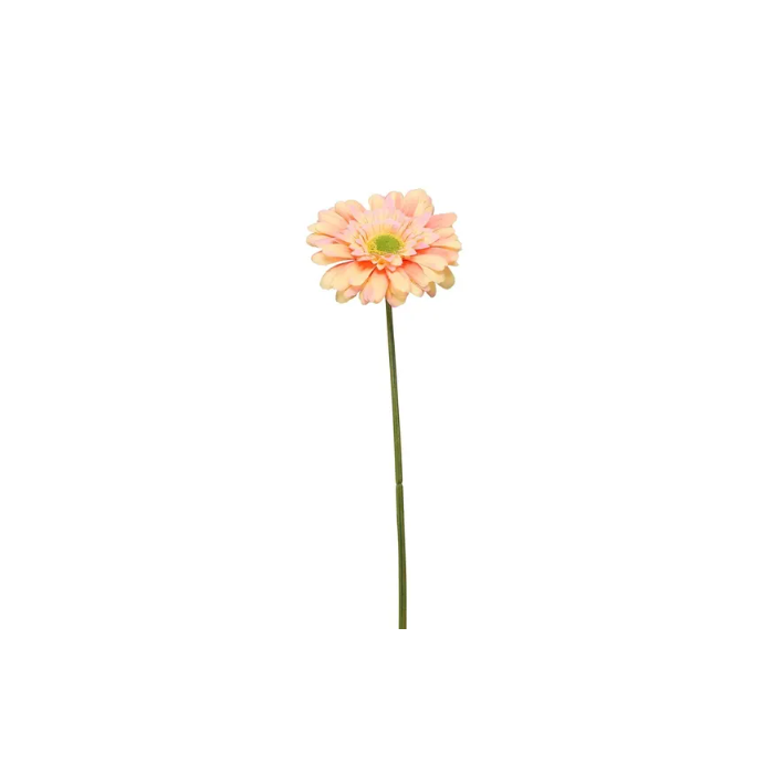 Single Gerbera 72cm Peach