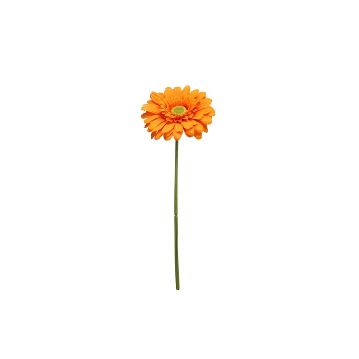 Single Gerbera 72cm Orange