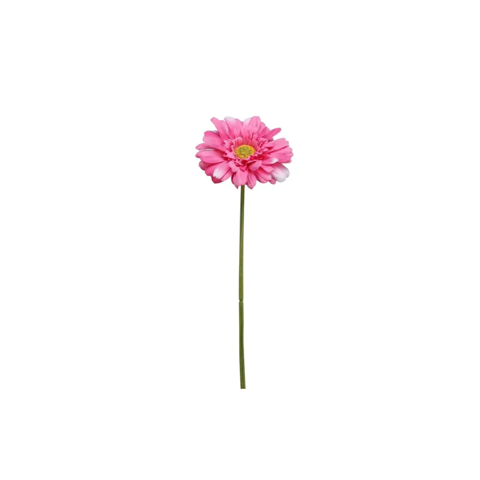 Single Gerbera 72cm Beauty