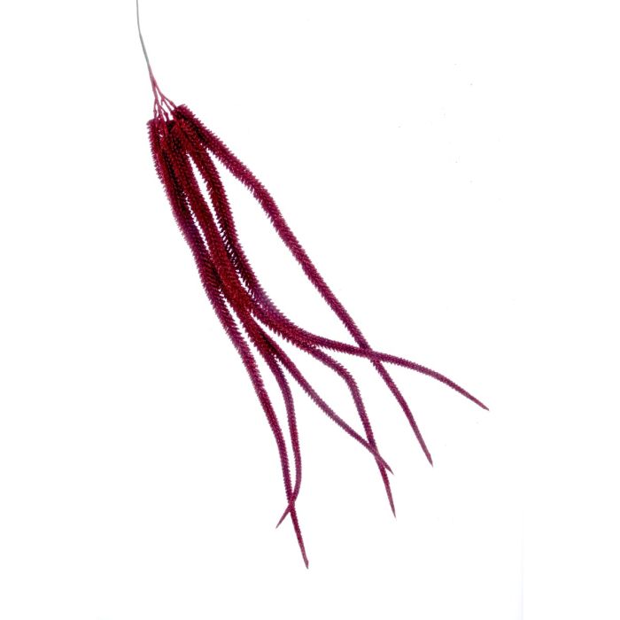 Artificial Glittered Amaranthus - Red (82cm long)