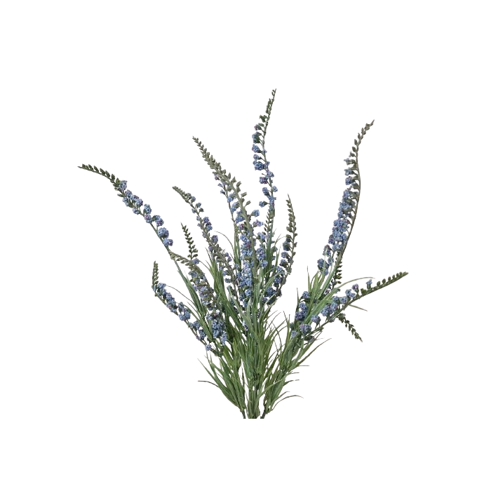 54cm Blue Salvia Bush