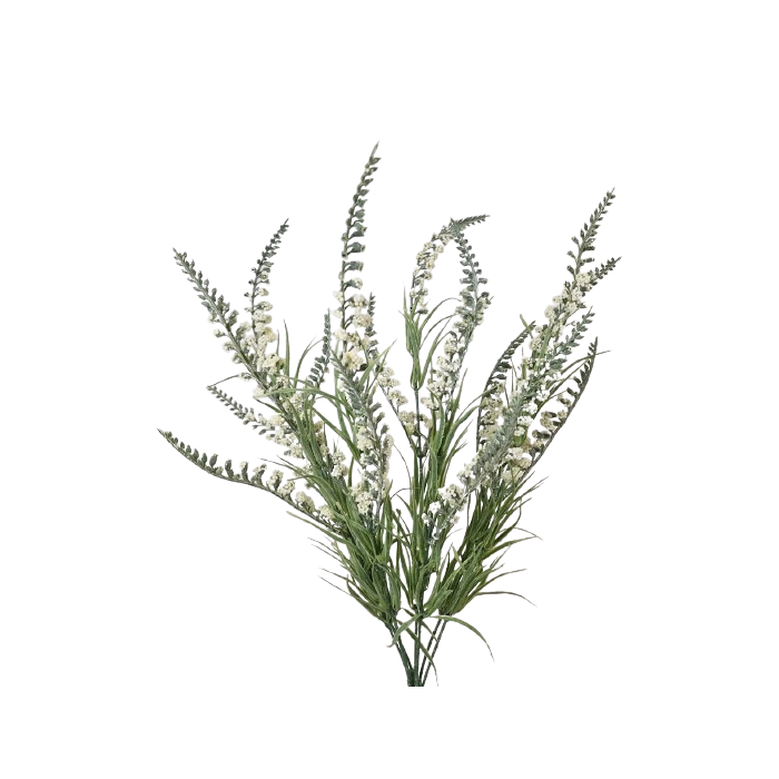 54cm Cream Salvia Bush