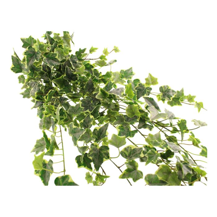 183cm Outdoor Variegated Artificial Ivy Trailing Bush WR