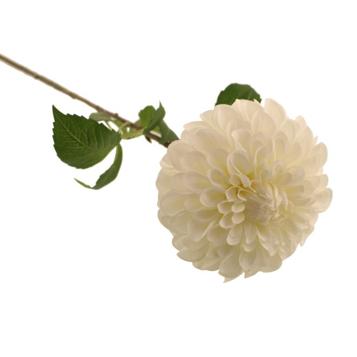 75cm Ball Dahlia White